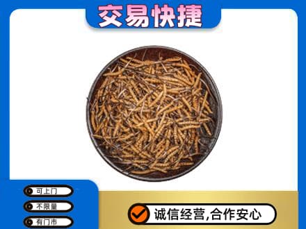 波密县礼品回收虫草.jpg